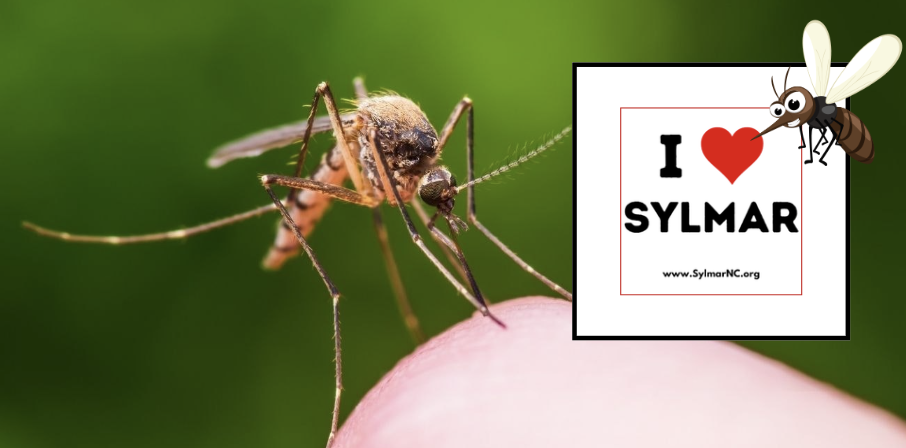 Mosquitoes • Information Traveling and at Home