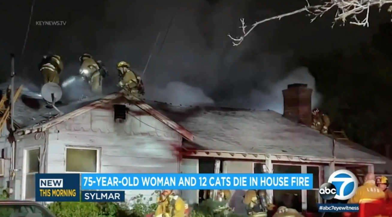 Sylmar woman & 12 Cats die in house fire.
