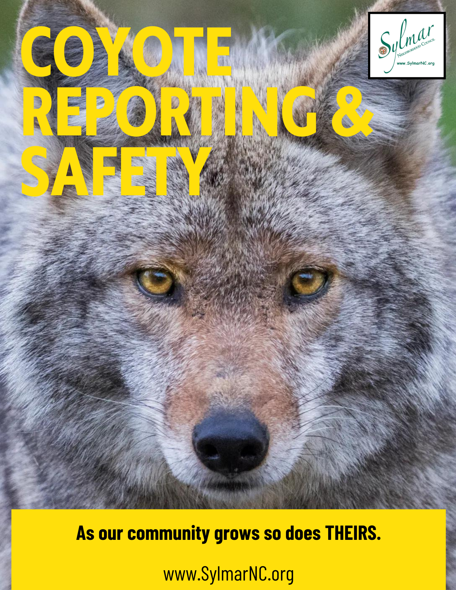 Coyote Reporting & Safety