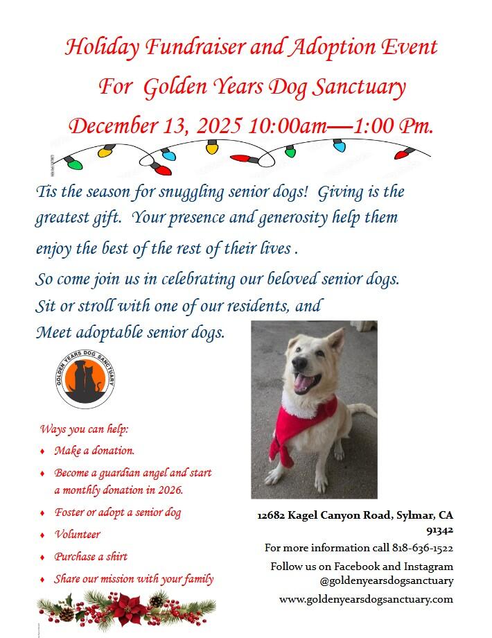 Now is the time! • Visit • Support • Adopt • Donate