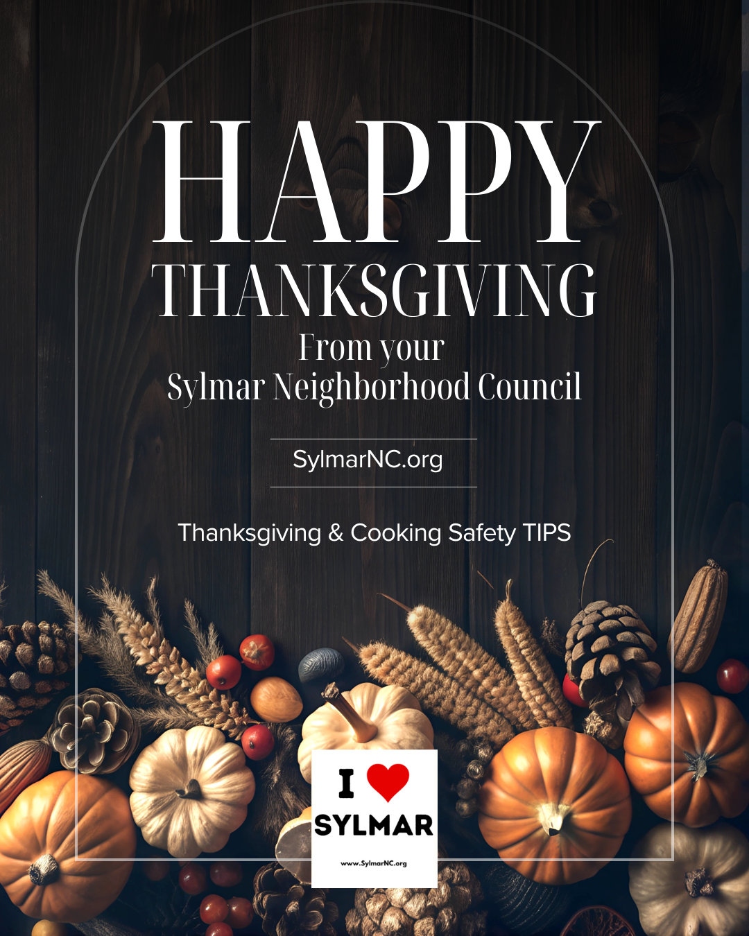 Happy Thanksgiving • Safety TIPS