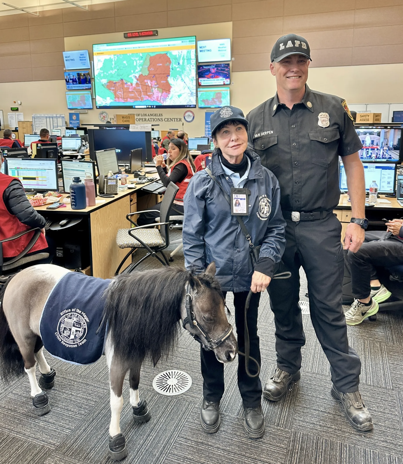LA City Mayor's Crisis Response Team - Mini therapy horses in Rose Parade.