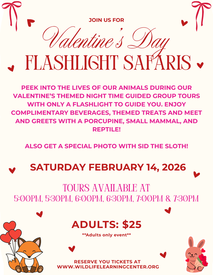 Valentine's Day Flashlight Safaris on Saturday February 14th