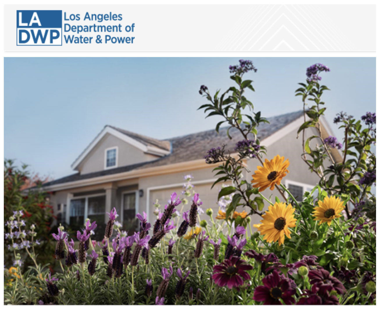 Receive a Free Water-Saving Yard Refresh
