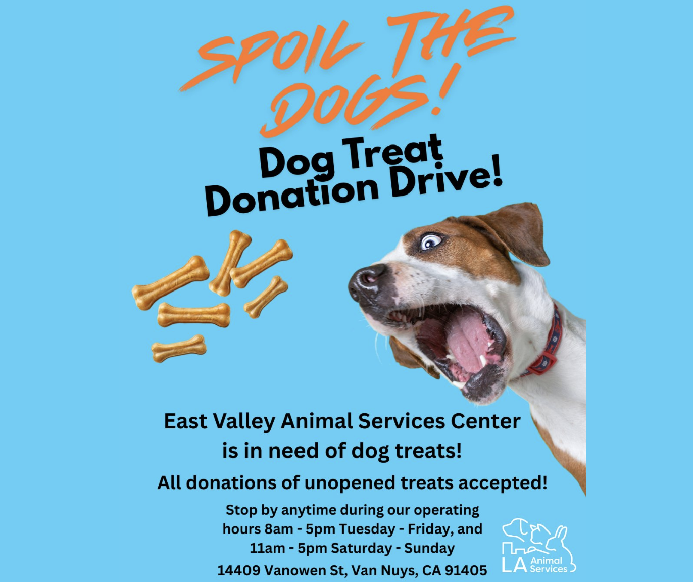 YOU can enrich the lives of shelter dogs!