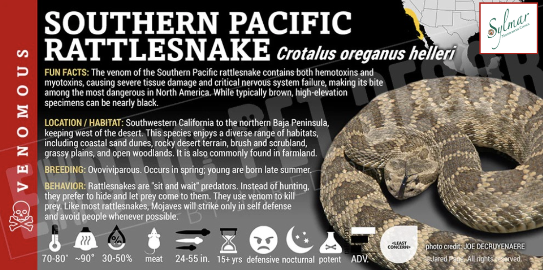 WARNING • Rattlesnake Season