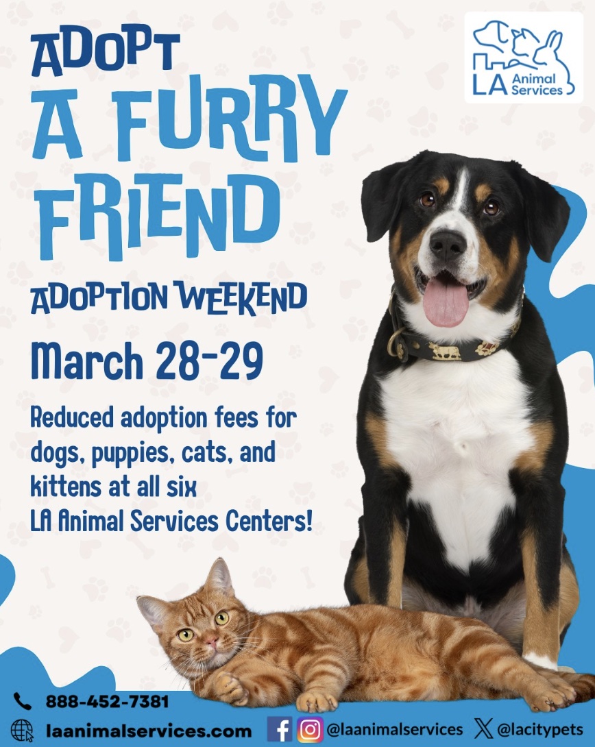 Adopt a Furry Friend • March 28-29 • ADOPTION WEEKEND!