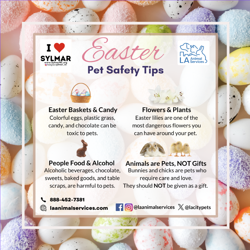 Easter & Pets