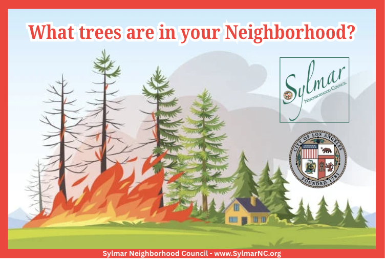 High Risk of Fire Fuel in Sylmar's Very High Fire Severity Zone