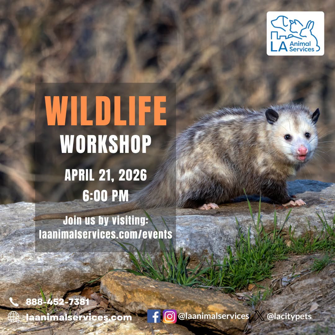 Learn how to safely coexist with wildlife in your neighborhood!
