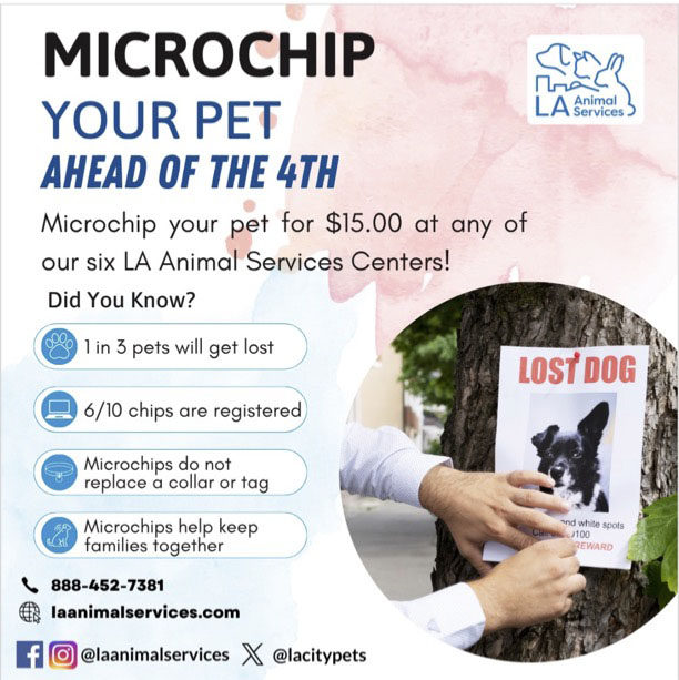 Microchipping your Pet ahead of 4th of July!