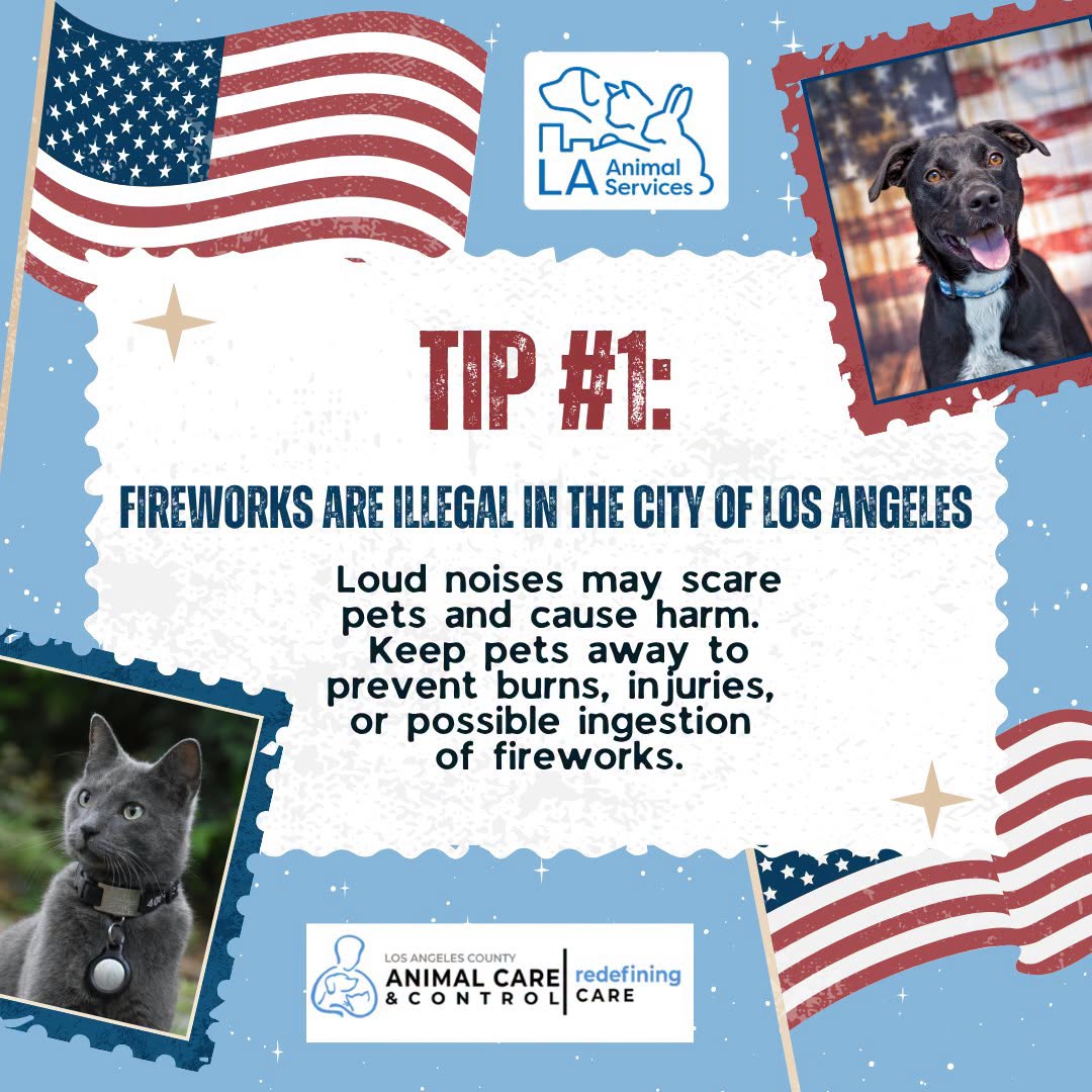 Fireworks are illegal in the City of Los Angeles.