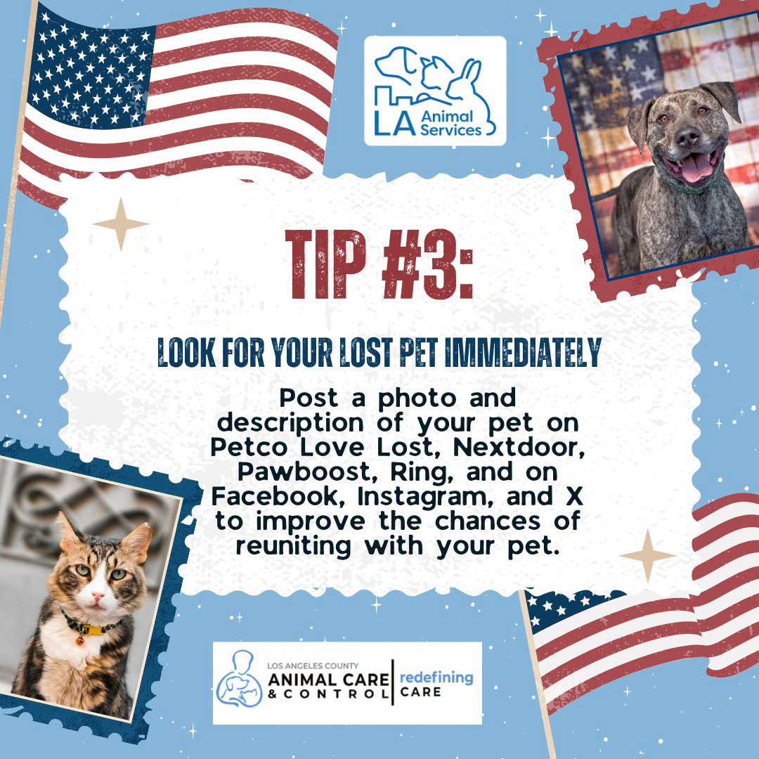 According to an @ASPCA survey, about half of missing dogs and a third of missing cats were found by searching their local neighborhoods.