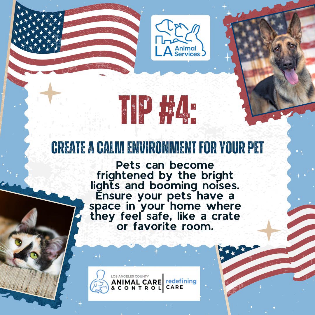 Create a calm environment for your pet