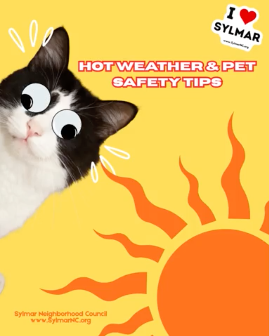 Hot Weather Pet Safety Tips