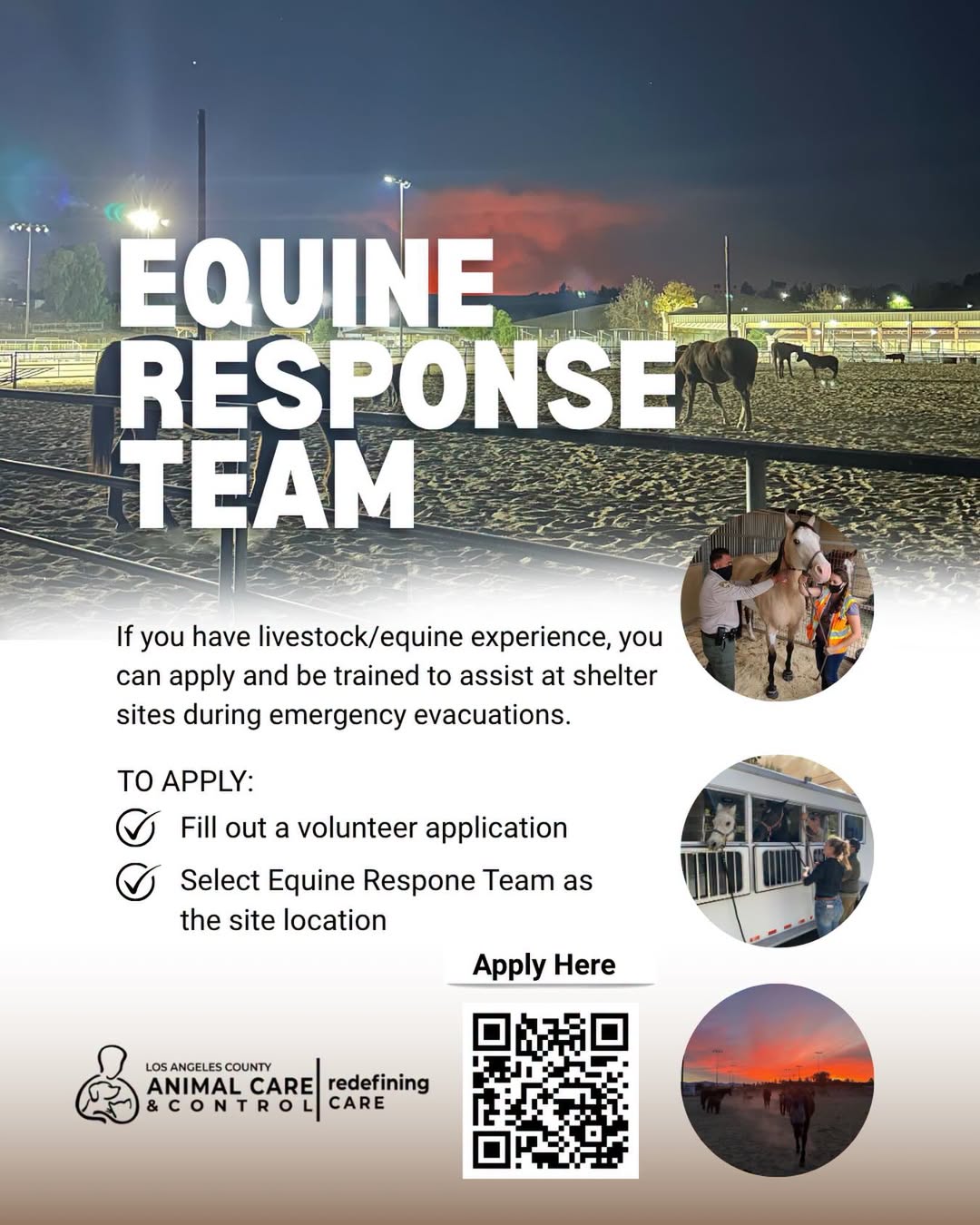 Help Protect Animals During Emergencies