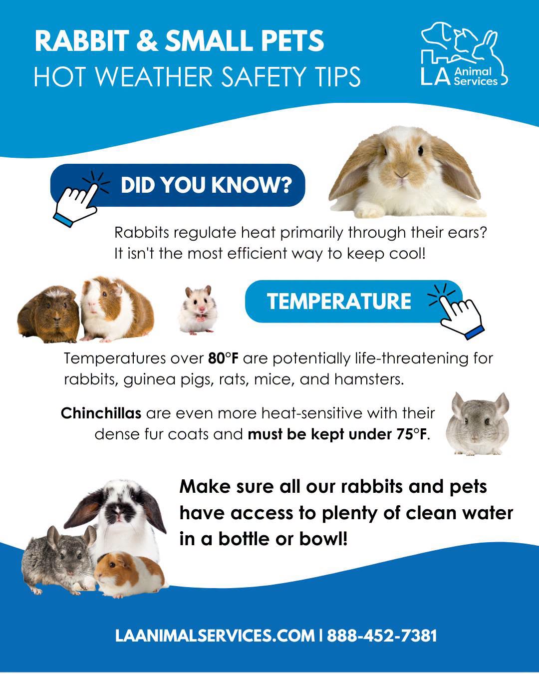 High Temperatures can potentially be life-threatening for Small-Pets