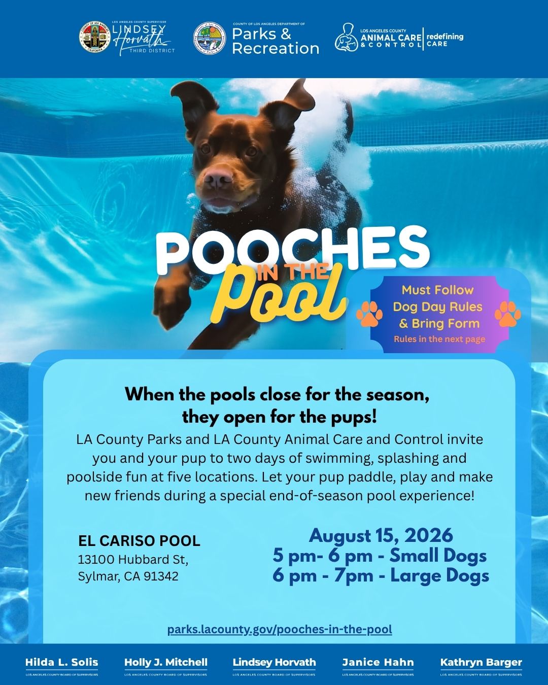 Pooches in the Pool - El Cariso Park - August 15th (Must bring Form)