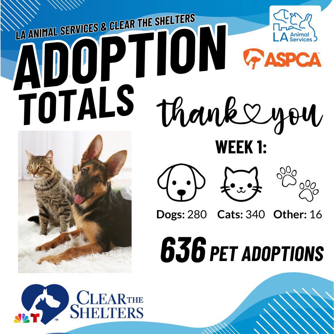 Week 1 of #ClearTheShelters was an incredible success, with 636 pets finding homes!