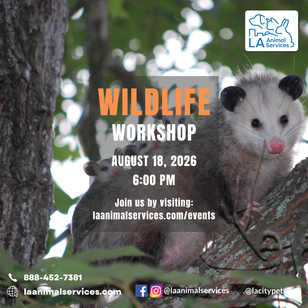 Wildlife Workshop - Tuesday, August 18th, 6:00pm (VIRTUAL)
