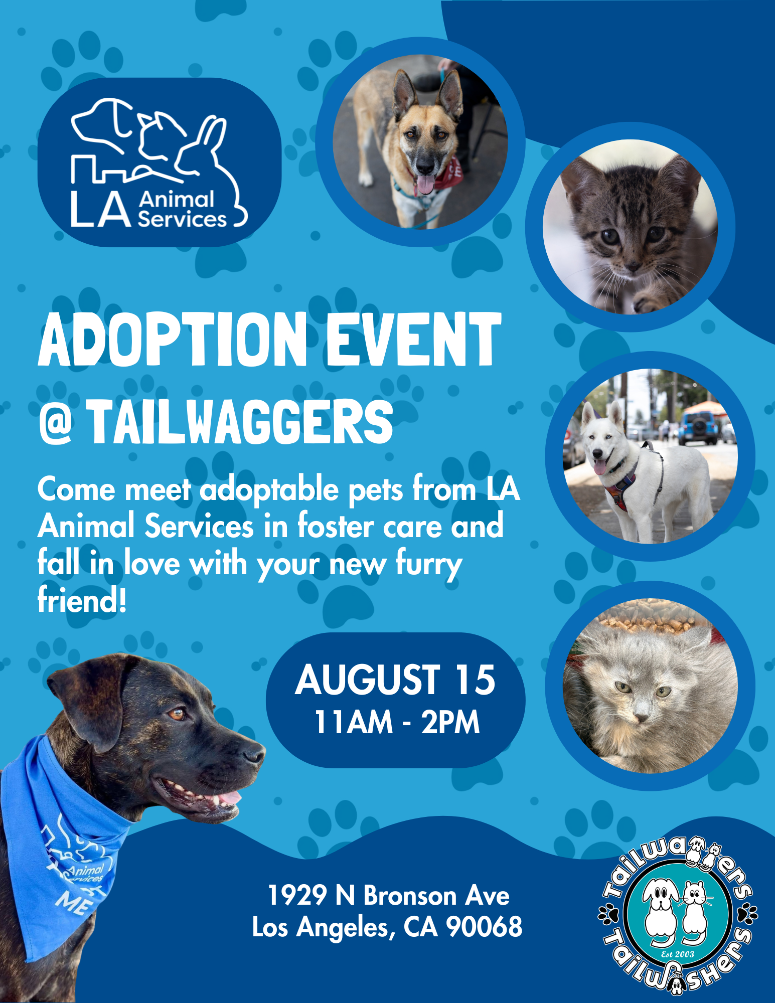 Tailwaggers Adoption Event