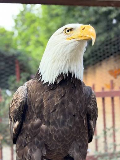 Sylmar - Wildlife Learning & Conservation Center
