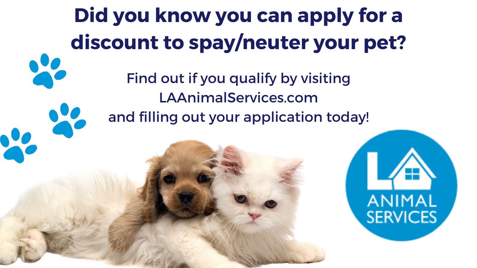 Spay & Neuter Free and Discounted certificates