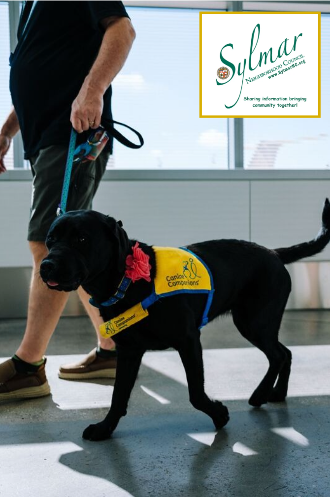 Service Animal Owners: Your Legal Rights