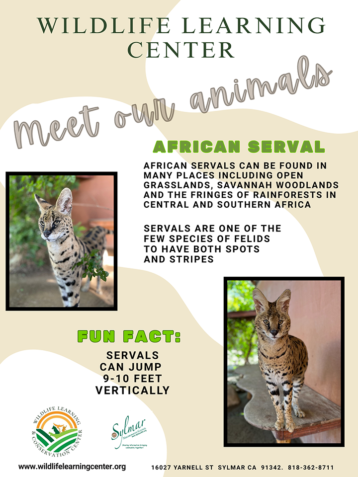 Sylmar - Wildlife Learning & Conservation Center