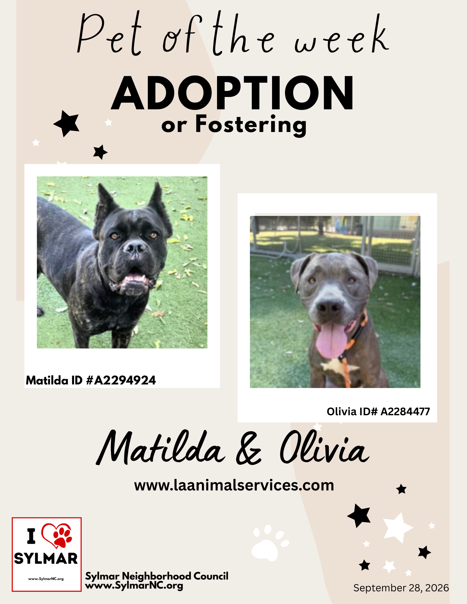 Meet Matilda & Olivia ! - Pet(s) of the week for Adoption/Foster
