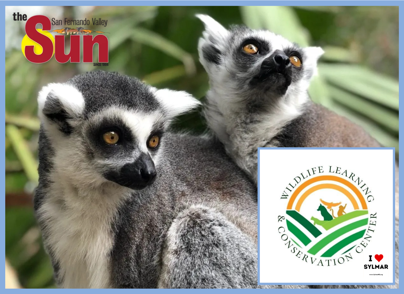 Sylmar Wildlife Center Avoids Financial Trouble Due to Outpouring of Community Support