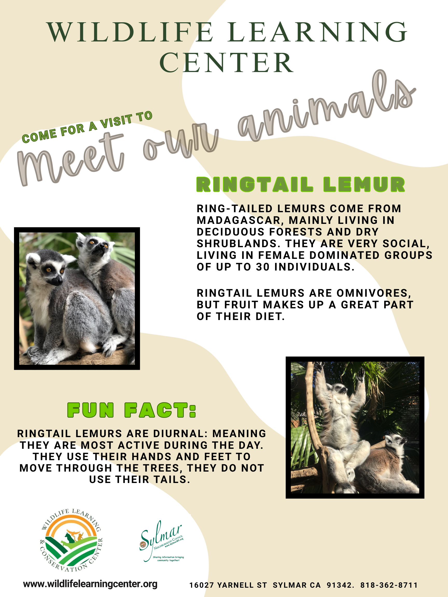 Wildlife Learning Center - Meet Our Animals!